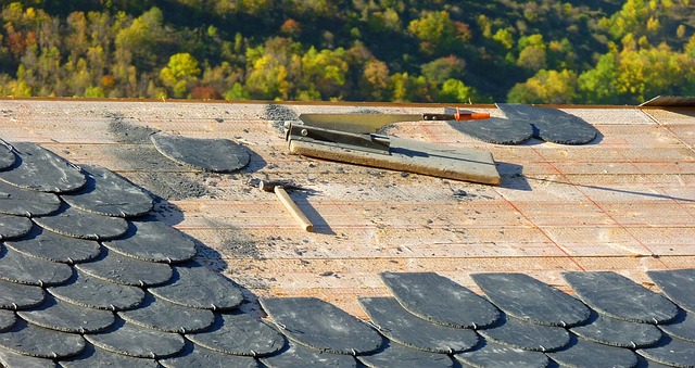 ​3 Things to Check Before a Roofing Maintenance Project